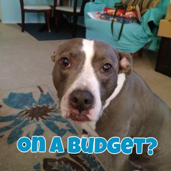 ABOUT OFFERS - Picture 3 of 8